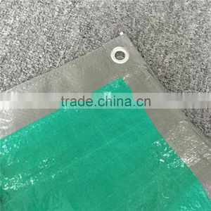 Outdoor Trapal thumbnail-5