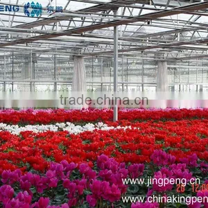 10mm PC Sheet Greenhouses thumbnail-1