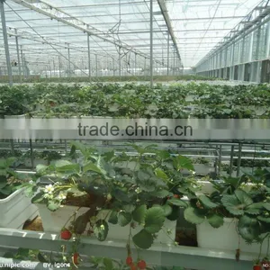 Low Cost Polycarbonate Agricultural Greenhouse thumbnail-1