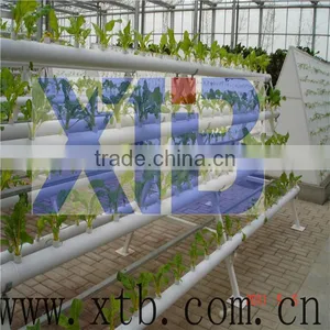 Multi Span Agricultural Glass Greenhouse thumbnail-1