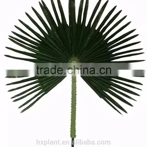 2016 China Factory Direct Artificial Coconut Leaves ,palm Leaves thumbnail-1