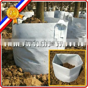 Garden, Backyard Tree Plating Grow Bag thumbnail-1