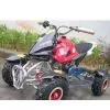 Mini Quad thumbnail-1