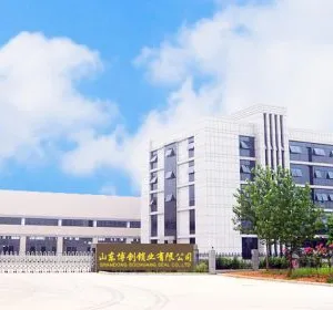Shandong Bochuang Seal Co., Ltd. company overview - view 1 thumbnail