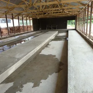China Chicken Cage Factory Offer Good Quality Poultry Equipment--Demeter Machinery thumbnail-5