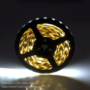 High Brightness Flexible Led Strip 5050 Smd 12v 24v White Color Led Light Strip Light thumbnail-1