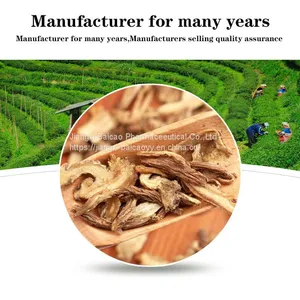 Angelica Root Oil Chinese Herbal Extract Pure Natural Oil thumbnail-2