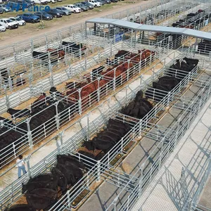 Hot Dip Galvanized Carbon Steel Powder Coated Eco-Friendly Livestock & Horse Safety Fencing 6ft Folding thumbnail-2