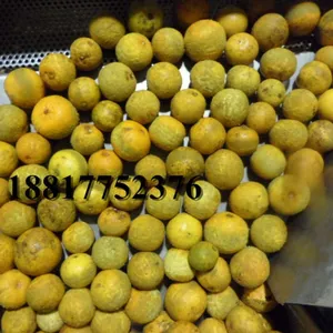 Factory Genyond Automatic Citrus Peel Grinder Grinding Equipment Orange Skin Essential Oil Extractor Machine Extraction Line thumbnail-2