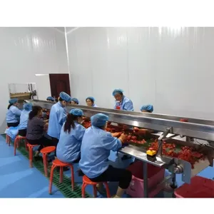 Commercial Ketchup Machine Make / Small Scale Tomato Paste Making Machine / Ketchup and Sauce Making Machine thumbnail-1