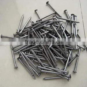 Polished Common Nails/ Common Iron Nail /common Wire Nail thumbnail-5