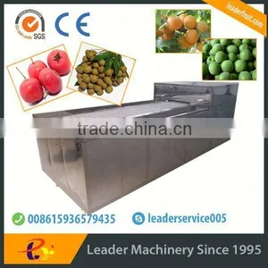 Leader Automatic Fruit Pitting Machine With Website:leaderservice005 thumbnail-1