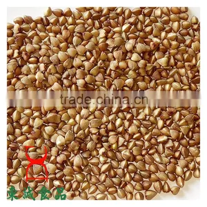 Roasted Buckwheat Organice Grains Wholesale thumbnail-5