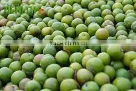 Compote Plumps in Syrup 540 ml Jars thumbnail-2
