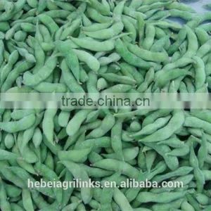 Frozen Soyabean, Frozen Type Fresh Soyabean thumbnail-5