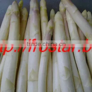 IQF Asparagus White thumbnail-1