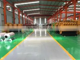 Shandong Dragon New Energy Co., Ltd. company overview - view 2 thumbnail