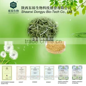 GMP Factory Supplys Green Tea Powder EGCG Antioxidant Products Instant Powder thumbnail-1