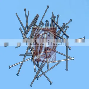 Common Wire Nail Iron Nail Factory thumbnail-1