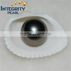 13-14mm Peacock Green Tahitian Pearls thumbnail-1