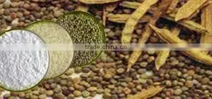 Guar Gum thumbnail-4