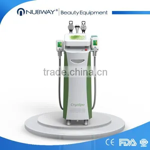 2016 5 Handles Best Results Fat Freezing Machine Cryo Fat Freeze Lipolysis Slimming Machine thumbnail-1