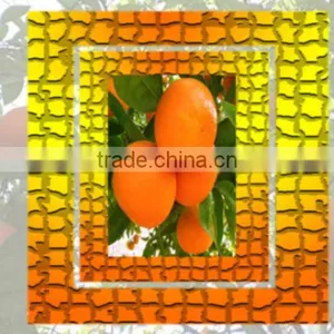 Fresh Kinnow, Mandarin Orange, Citrus Fruit thumbnail-1