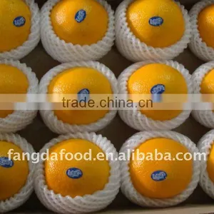 Chinese 60mm-95mm Red Newhall Navel Orange thumbnail-1