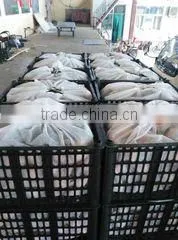Shanxi Qinghe Trading Co., Ltd. company overview - view 3 thumbnail