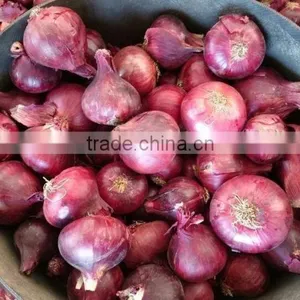 Fresh Red Onion thumbnail-2