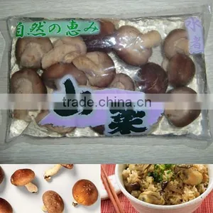 Canned Shiitake Mushroom Shiitake in Tin Price for Shiitake thumbnail-3