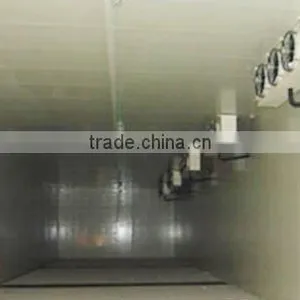 Cold Storage thumbnail-1