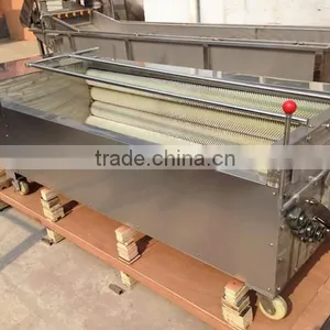 Sea Shell Washing Machine|Fish Washing Machine|fish Scales Removing Machine thumbnail-1