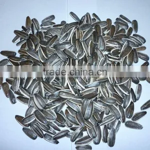 Sunflower Seeds 5009 thumbnail-1