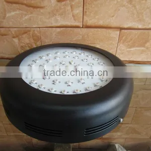 Led Grow Light in Hydroponics System thumbnail-1