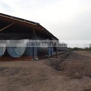 Automatic Poultry Equipment Feeder for Chicken thumbnail-5
