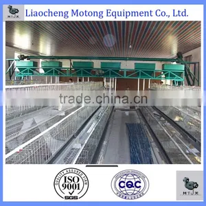 Quail Chicken Cage / Poultry Raising System thumbnail-4