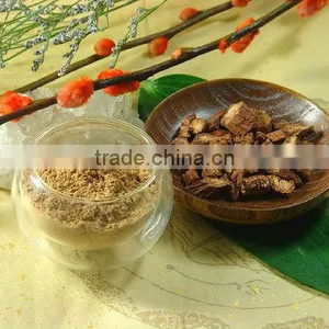 FYF Series Fruit and Vegetable Crusher Machine for Restaurants and Canteen thumbnail-2