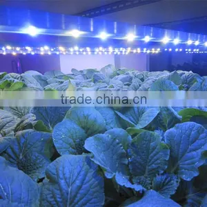 Marshydro Grow Led Light Full Spectrum Tube Led Grow Light Bar for Tomato Seed for Greenhouse Hydroponics thumbnail-4