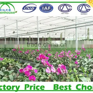 Vegetable Growing Intelligent Glass Greenhouse thumbnail-5