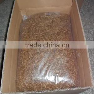 High Protein Reptiles Food ,Dried Mealworms thumbnail-4