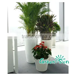 Window Flower Box thumbnail-2