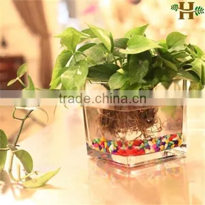 Hot Sale Hand Blown Square Glass Vase thumbnail-1