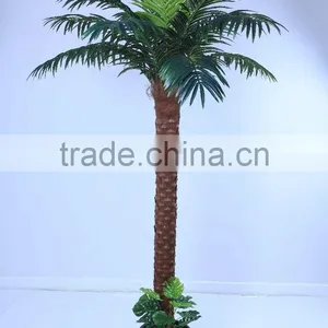 SJ12001163 Top Selling Palm Tree/mini Palme Plant Craft thumbnail-1