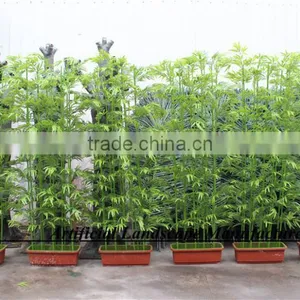 LXY160405 Green Bamboo,High Quality Artificial Bamboo Fencing thumbnail-3