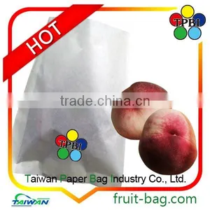 Fruit Growing Bag Peach Packing Bags Protection Packing Bags Double Layer Bag thumbnail-1