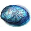 New Zealand Abalone Shell And Beads thumbnail-1