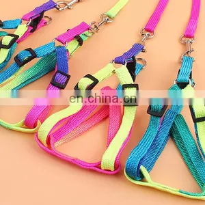 Dog Collar thumbnail-2