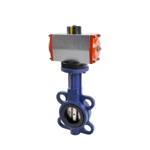 Double Acting Food Beverage Crane Butterfly Valves thumbnail-1