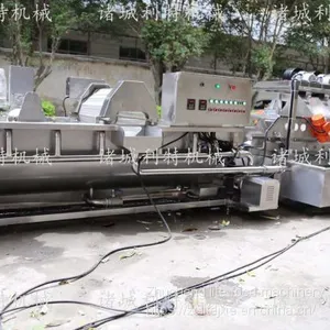 Clean Vegetable Water Washing Machine Clean Vegetable Eddy Current Cleaning Line Clean Vegetable Processing Equipment thumbnail-1